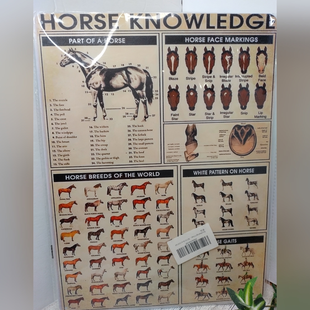 Horse Knowledge Metal Poster Anatomy Of A Horse Vintage Metal Tin Sign 12x16 In. - Picture 3 of 4